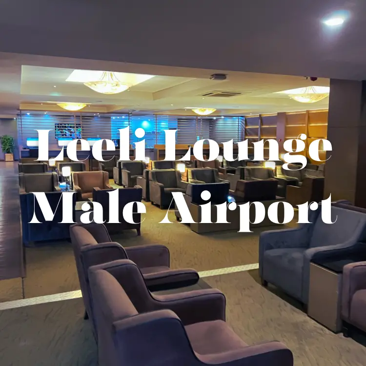 Male's Leeli Lounge: An Unexpected Mediocrity in the Maldives » 2-for-1  Around The World